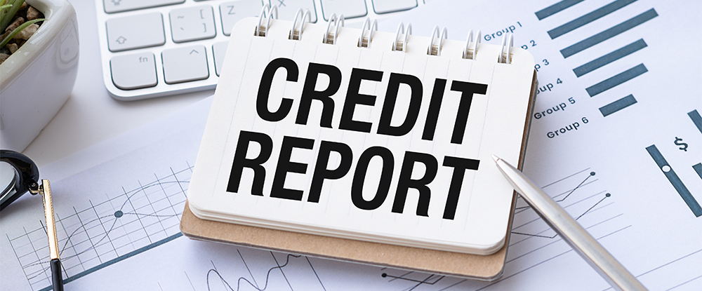 credit rating  - dealplexus